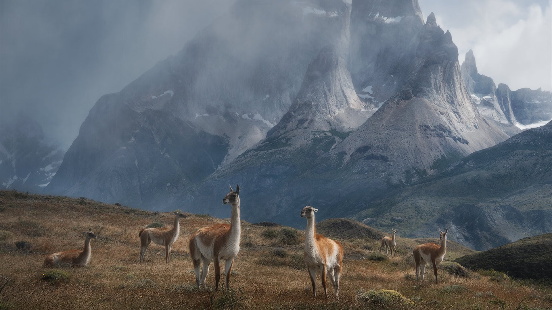 太阳控卫表现抢眼，助球队战胜对手，太阳控球后卫