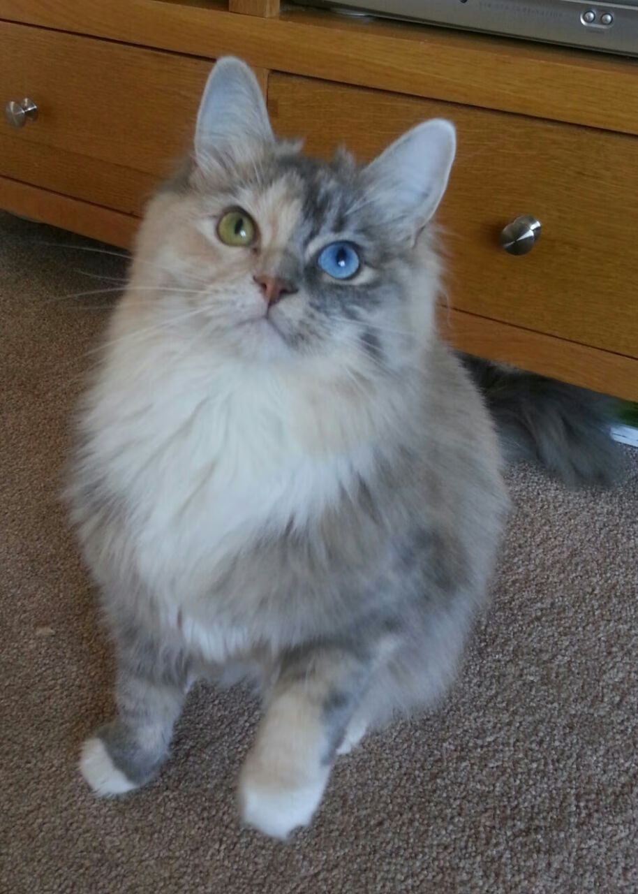 爱游戏平台-曼联门将神勇扑救，保护球门如铁桶，曼联的传奇门将