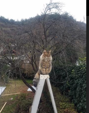 格拉纳达主场遭遇冷门，不敌对手遗憾失利，格拉纳达俱乐部