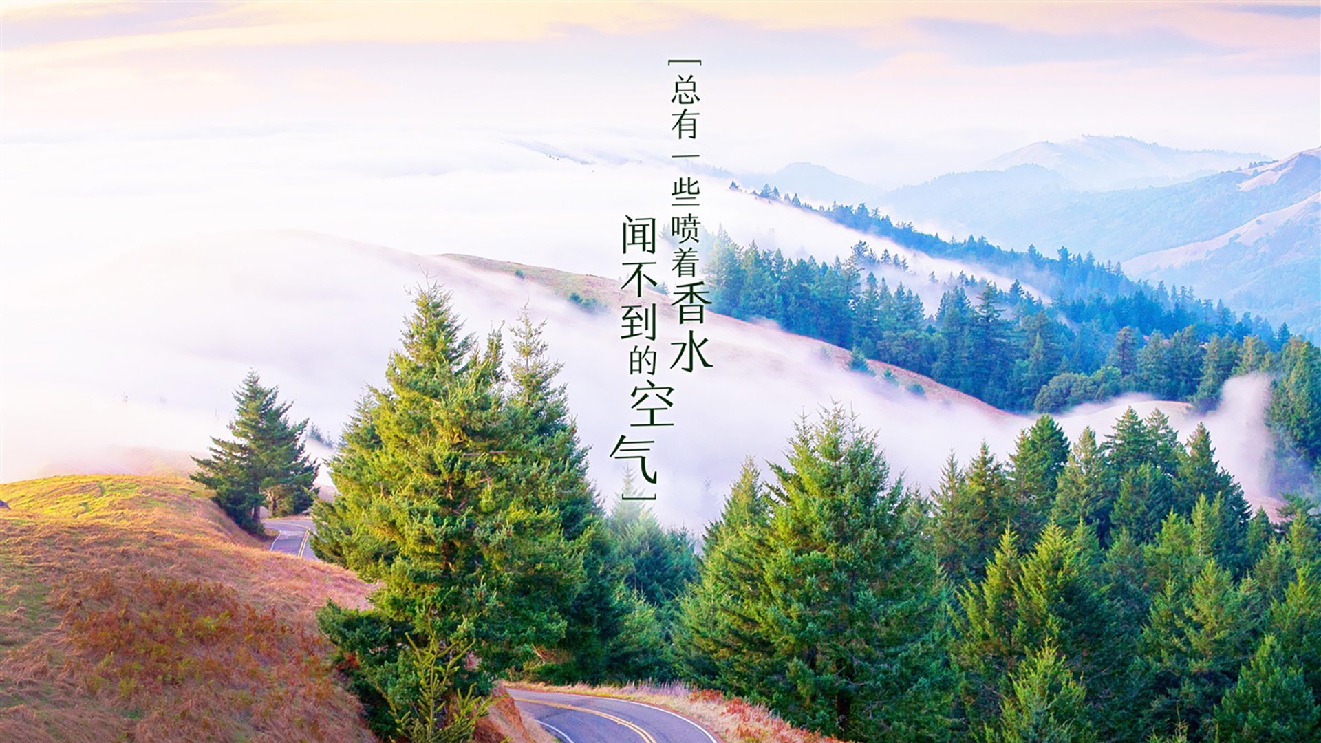 篮球场光影:全球巅峰对决如火如荼,nba球场全景