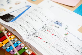 -中小学体育课安全教育实施现状研究，体育课堂安全背景下的小学体育课现状