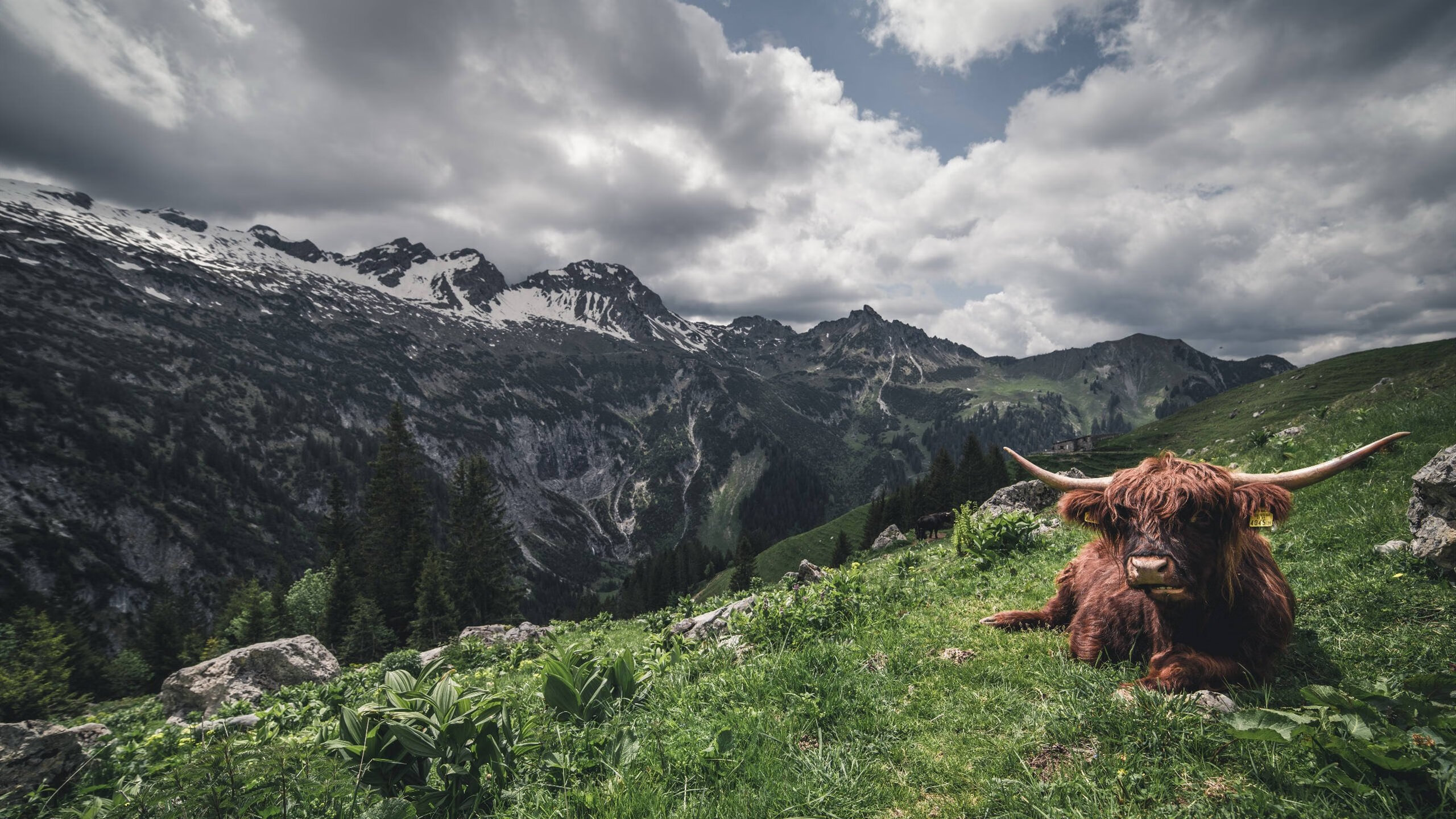 AYX SPORTS-中美澳三国对抗形成多项目立体态势，中澳战略对话