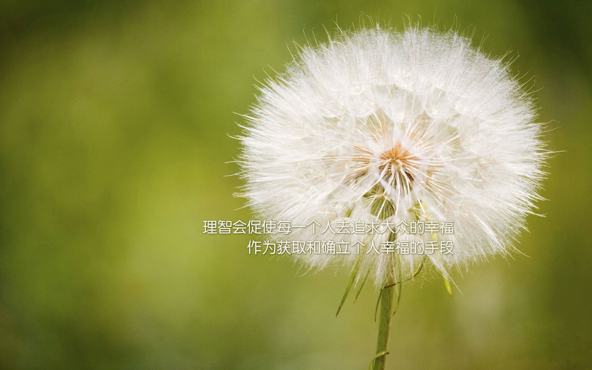 爱游戏体育APP下载-亚冠晋级球队备战策略各具特色，亚冠晋级球队备战策略各具特色是什么