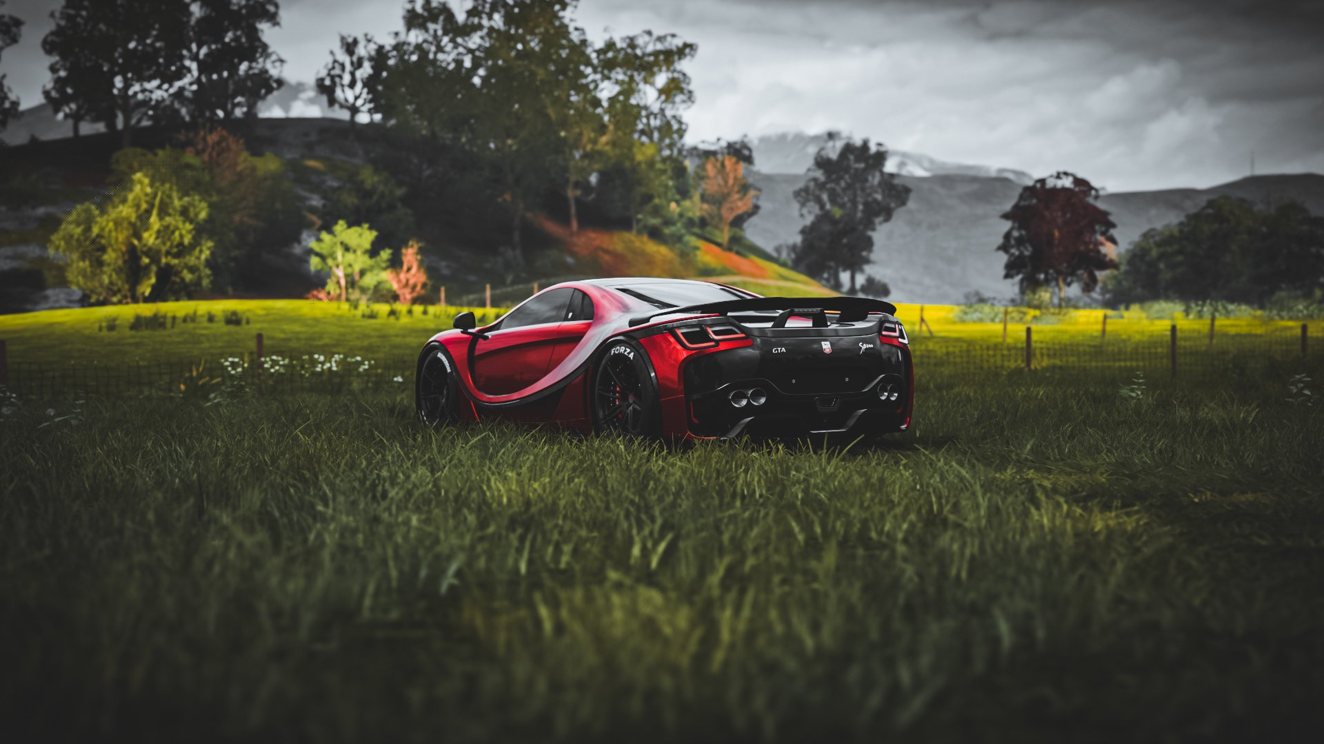 体育新闻中心协同地方媒体推进体育内容生态建设，体育新闻工作