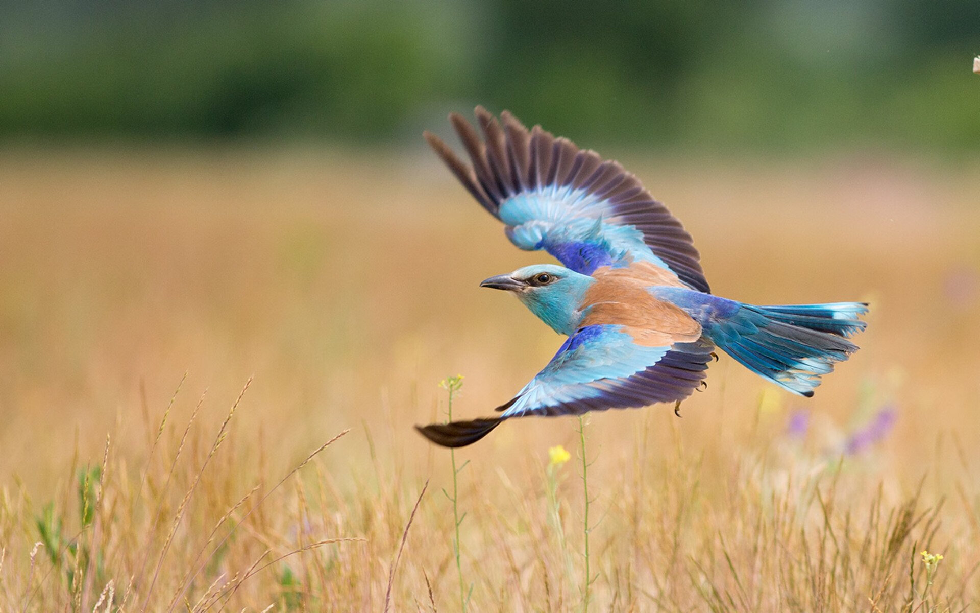 体育新闻中心运动医学专题，体育类新闻报道