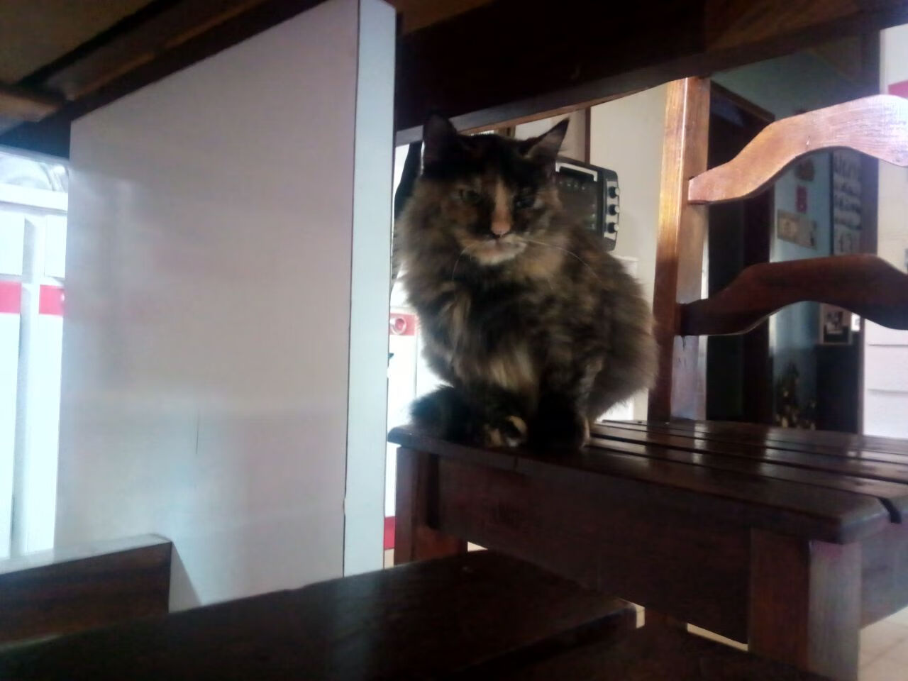 爱游戏娱乐网址-冠军争夺进入白热化阶段，积分榜形势紧张，冠军顺序