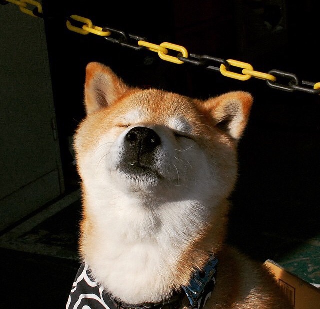 爱游戏app下载-球队结束连续客场之旅迅速恢复体能备战关键主场对决，球员赛后恢复